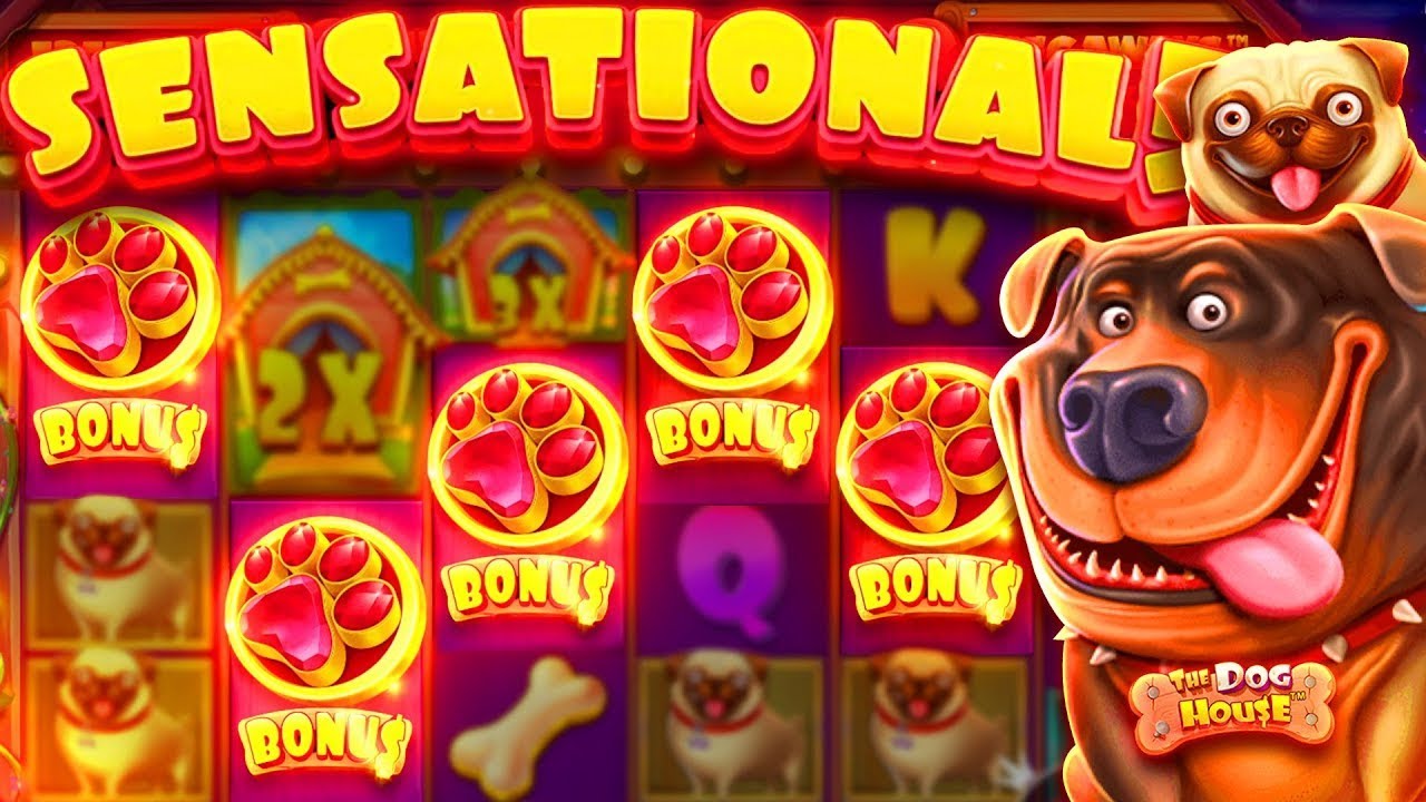 The Dog House Megaways free spins trigger — six scatter bonus symbols landing simultaneously for maximum spin allocation
